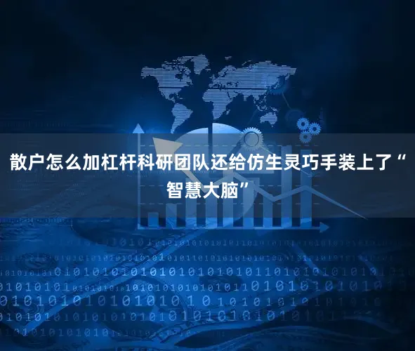 散户怎么加杠杆科研团队还给仿生灵巧手装上了“智慧大脑”