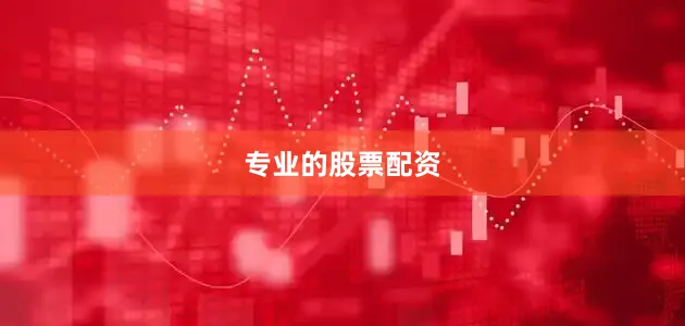 专业的股票配资