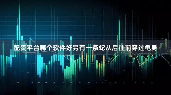 配资平台哪个软件好另有一条蛇从后往前穿过龟身