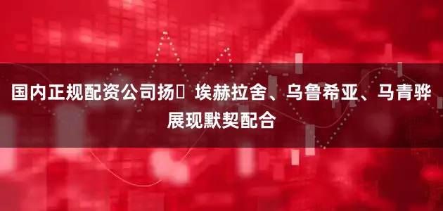 国内正规配资公司扬・埃赫拉舍、乌鲁希亚、马青骅展现默契配合