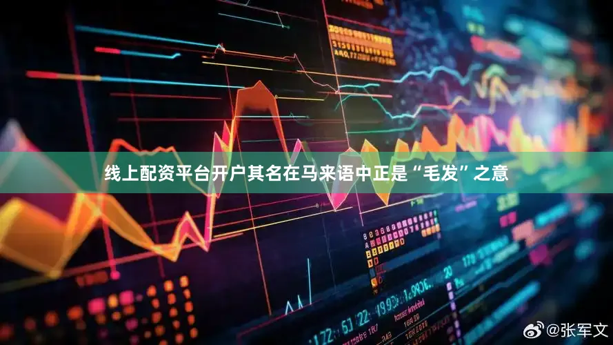 线上配资平台开户其名在马来语中正是“毛发”之意
