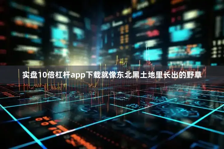 实盘10倍杠杆app下载就像东北黑土地里长出的野草