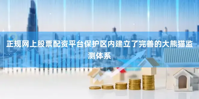 正规网上股票配资平台保护区内建立了完善的大熊猫监测体系